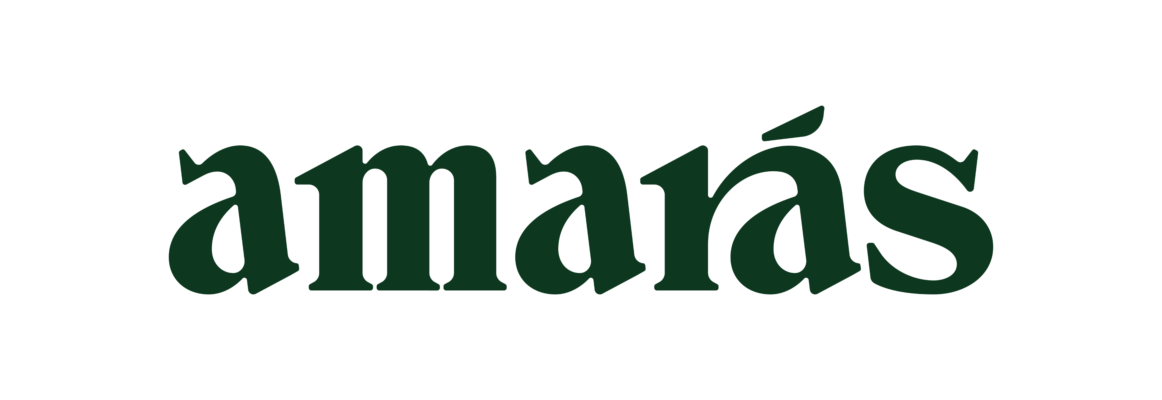 Logo 1